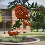 Boardinghaus Weinberg Campus 아파트호텔 Halle (Saale)