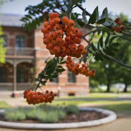 Boardinghaus Weinberg Campus Appart hôtel Halle (Saale)