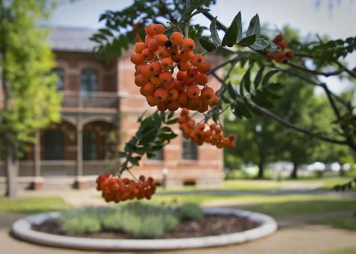Boardinghaus Weinberg Campus Апарт-отель Галль